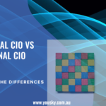 Fractional CIO vs Traditional CIO