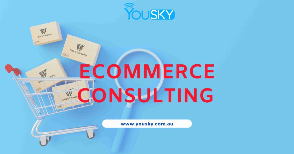 eCommerce Consulting